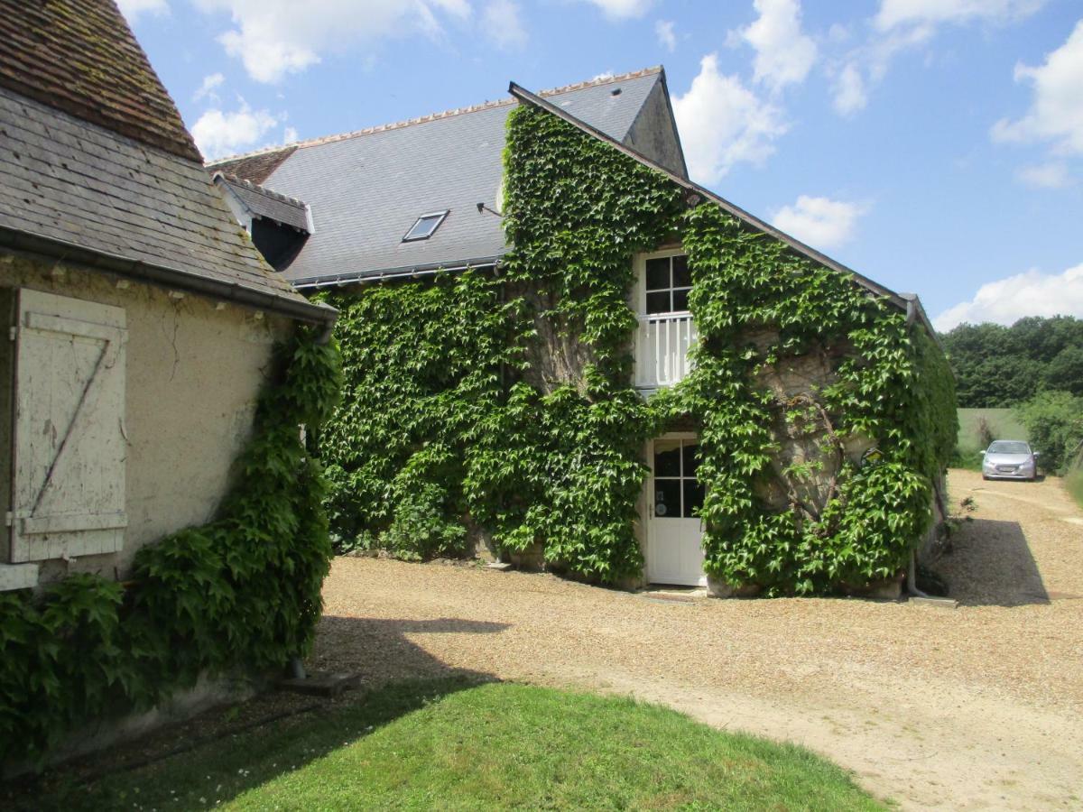 Chambres D'Hotes La Ferme Du Grand Launay Semblançay Eksteriør billede